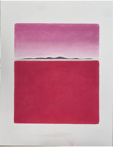 MERY RIGO - Spazio fucsia