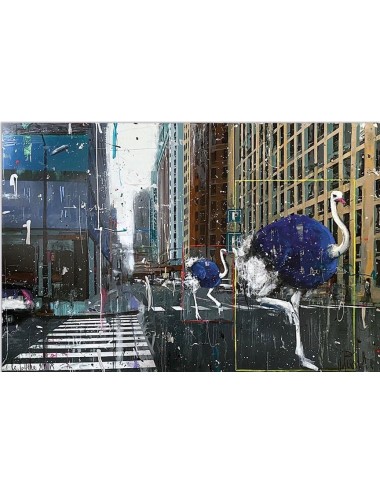 ANGELO ACCARDI - Misplaced,...