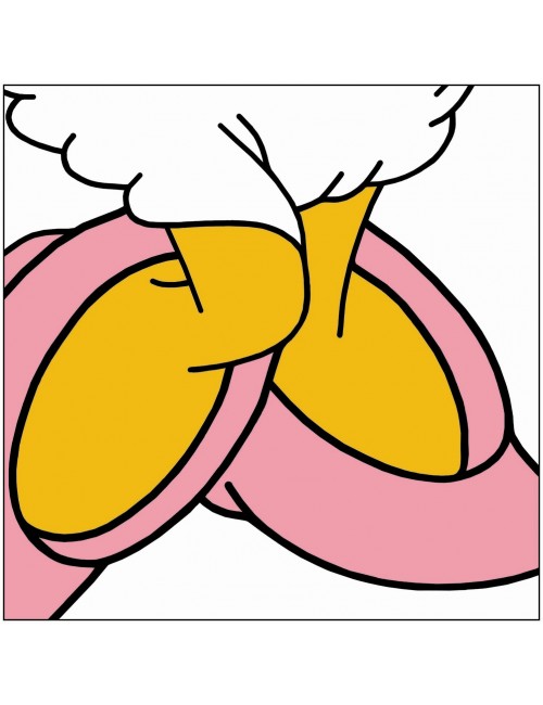 SERGIO VEGLIO - Popartoons...