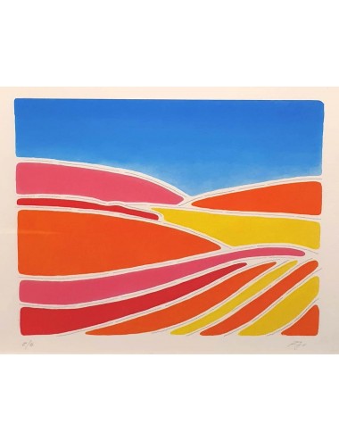 MERY RIGO - Onde, Colore, Vita