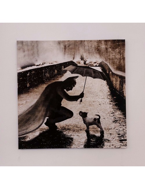 MAURO ROSSO - Batdog